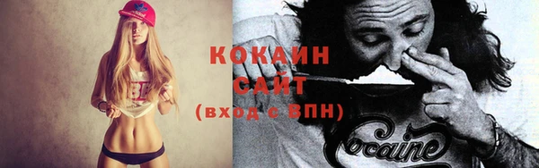 ешки Алексин
