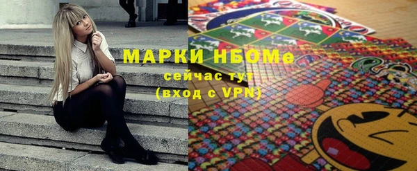 хмурый Алзамай