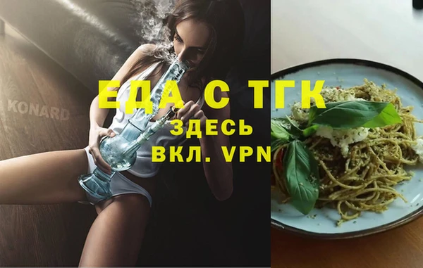 хмурый Алзамай