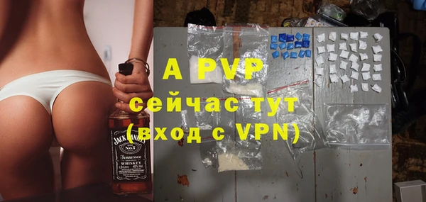 ешки Алексин
